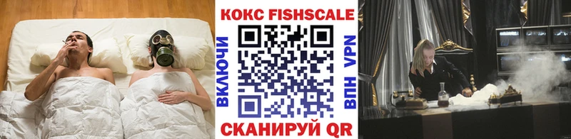 Кокаин Fish Scale  Купить  Канск 