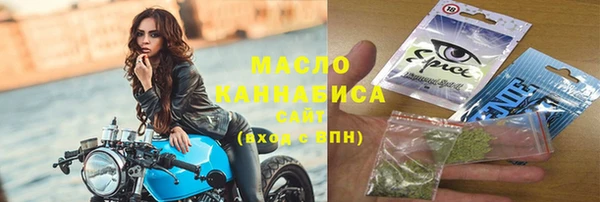 скорость Каменка