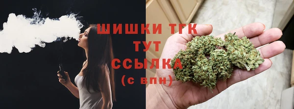 скорость Каменка