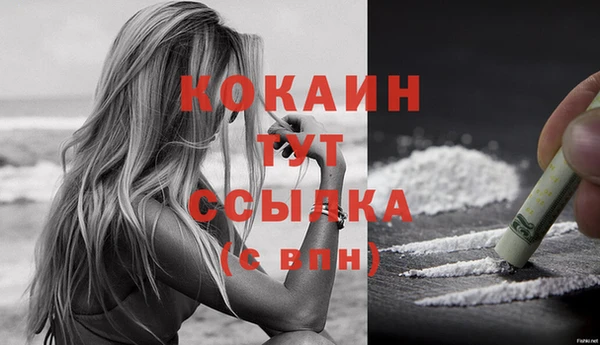скорость Каменка