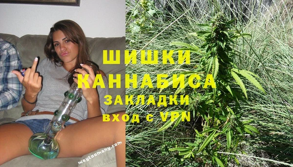 скорость Каменка