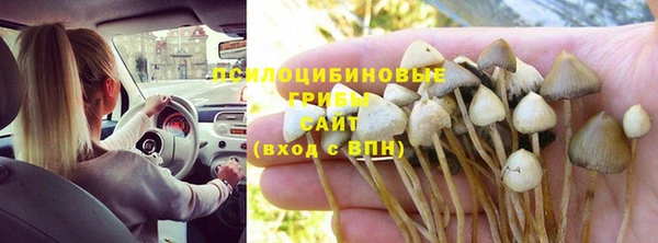 скорость Каменка