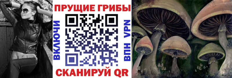 Галлюциногенные грибы GOLDEN TEACHER  Купить  Канск 