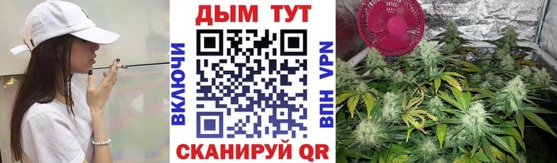 Купить где  Канск  Бошки Шишки MAZAR 